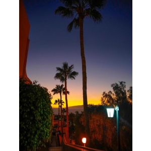 Paradise Seaview Apartment