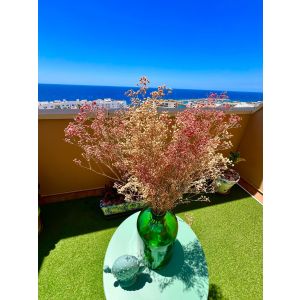 La Tortuga Ocean View